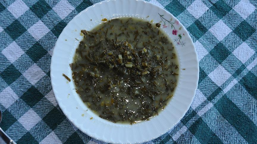T İ R Ş İ K2