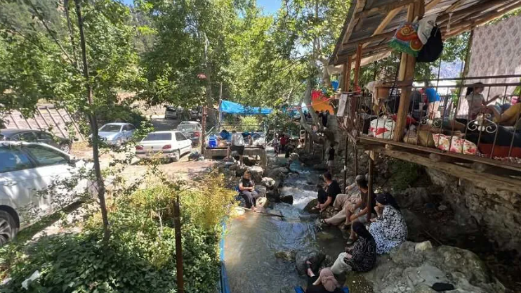 Ardıç Suyu-1