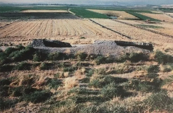 Ekran Görüntüsü 2025 07 03 120336