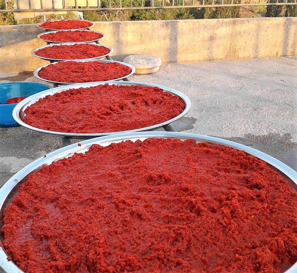Kaliteli Aci Biberi Tercih Eden
