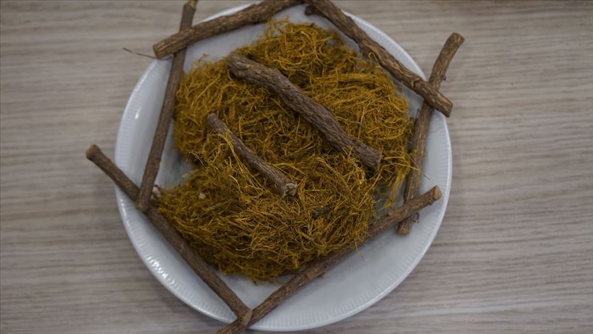 Meyan Kök