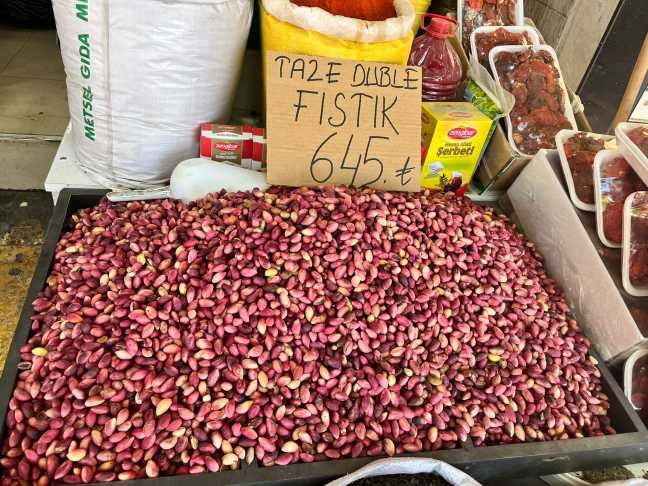 Fıstık1