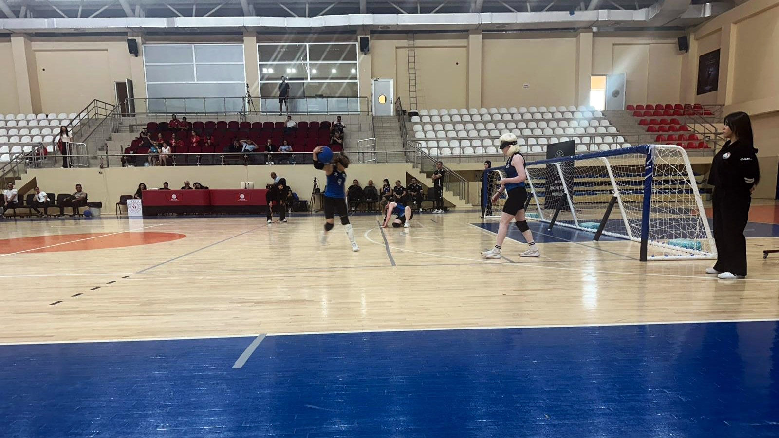 Goalball (3)