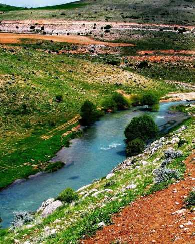 Hurman Ara