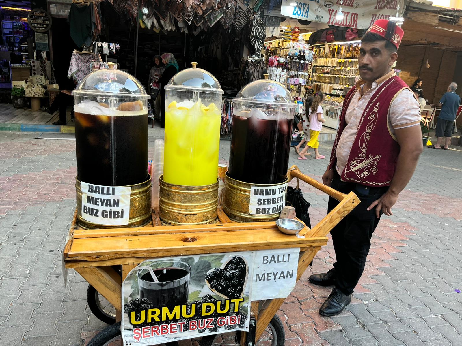 Karadut1-1