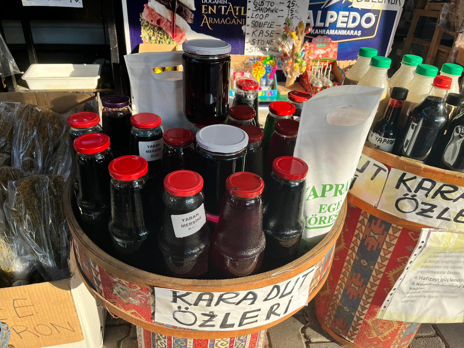 Karadut2
