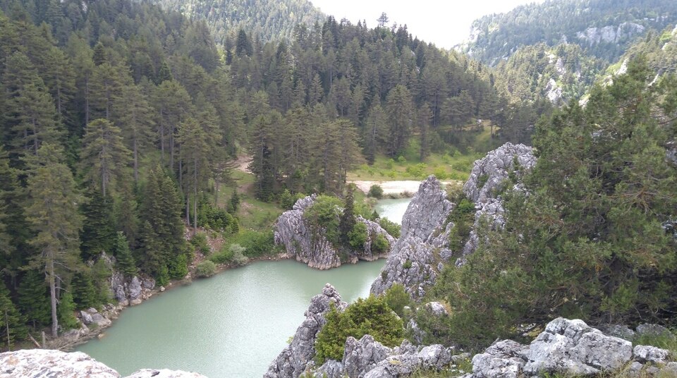 Köprüağzı Deresi