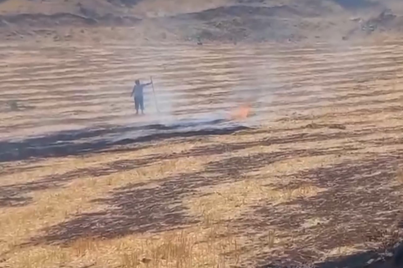Screenshot 157