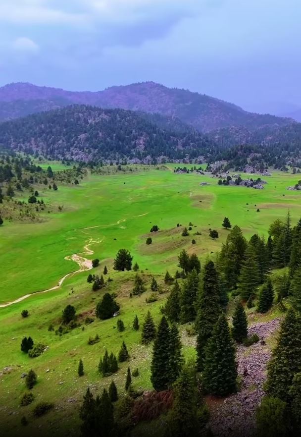 Se Yayla3