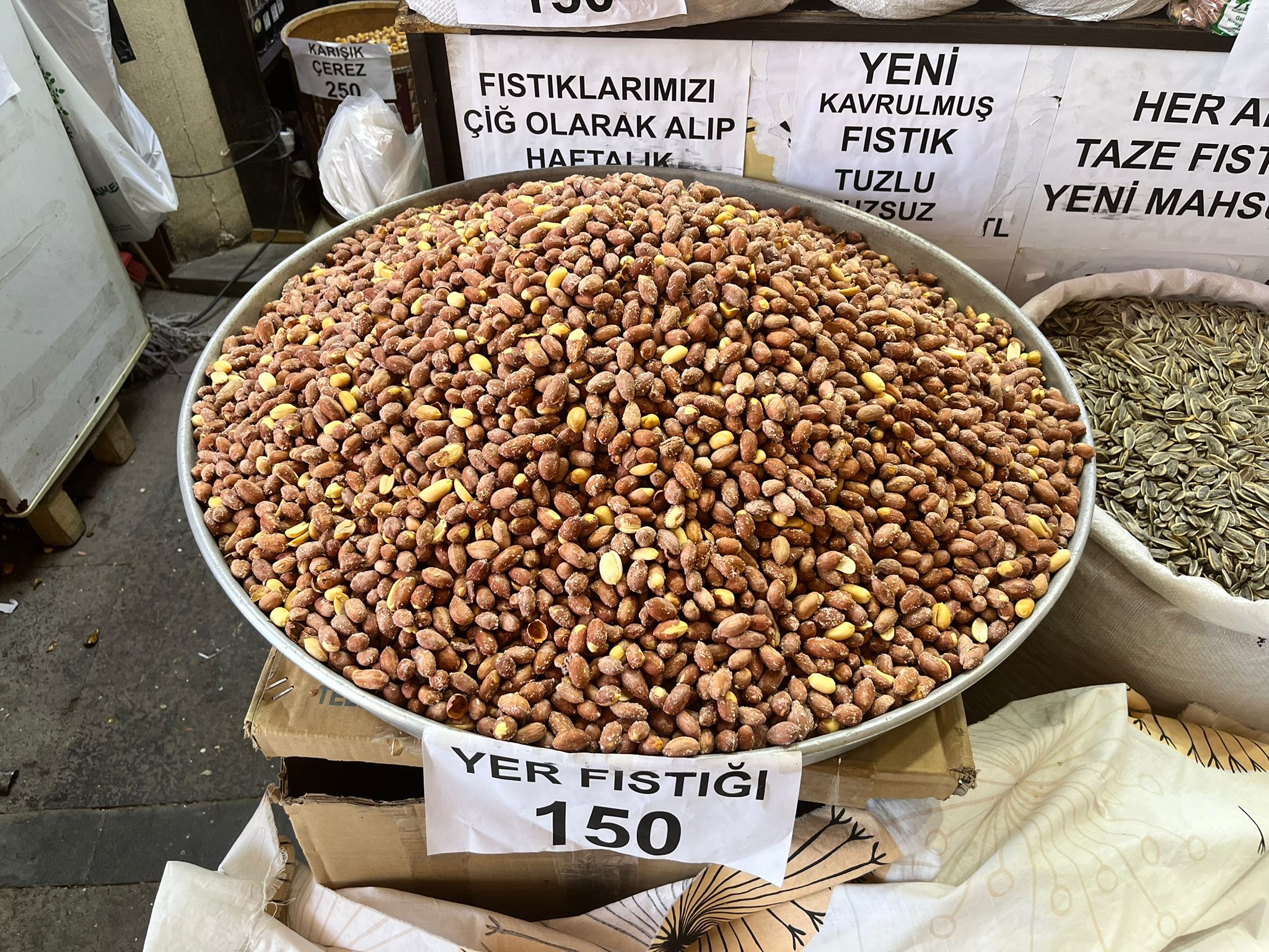 Yer Fistiği