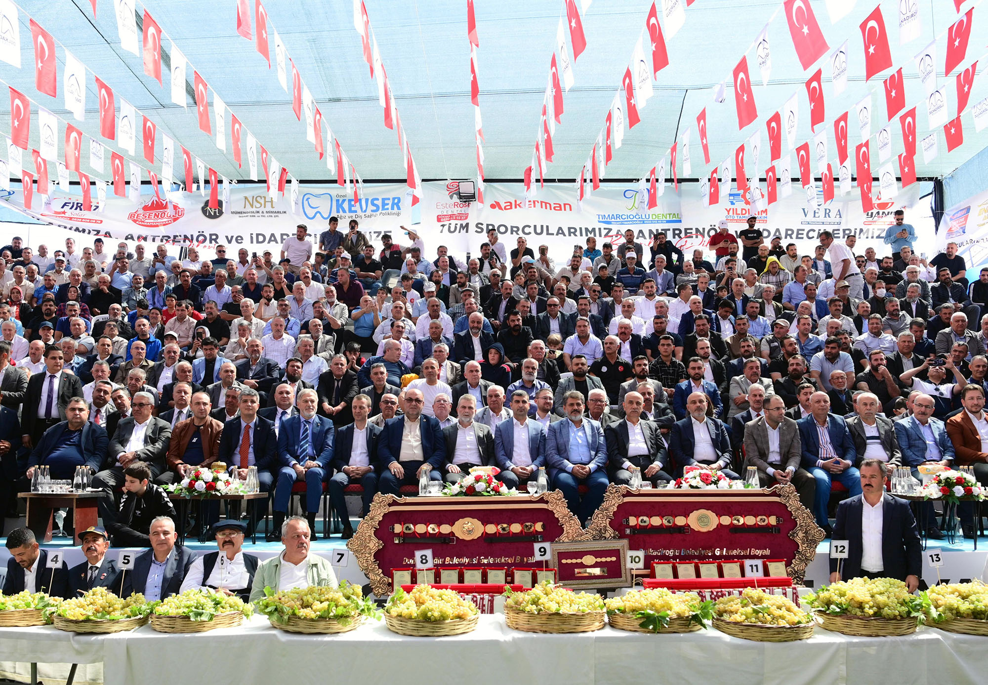 Bertiz Boyalı Güreş Festivali (1)-1