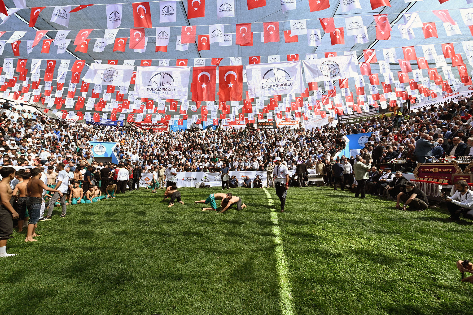 Bertiz Boyalı Güreş Festivali (6)