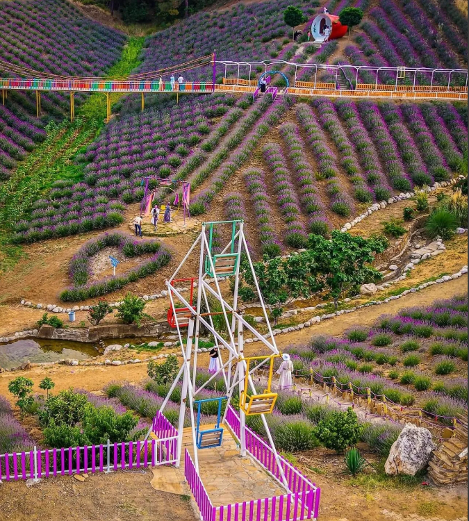Ekran Görüntüsü 2025 09 11 160617