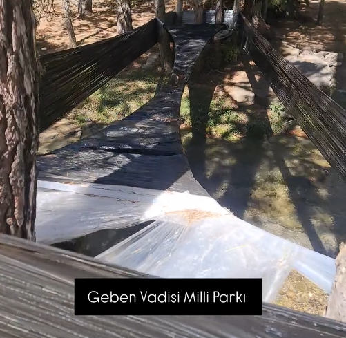Geben
