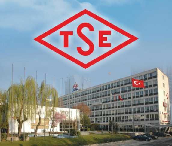 T S E