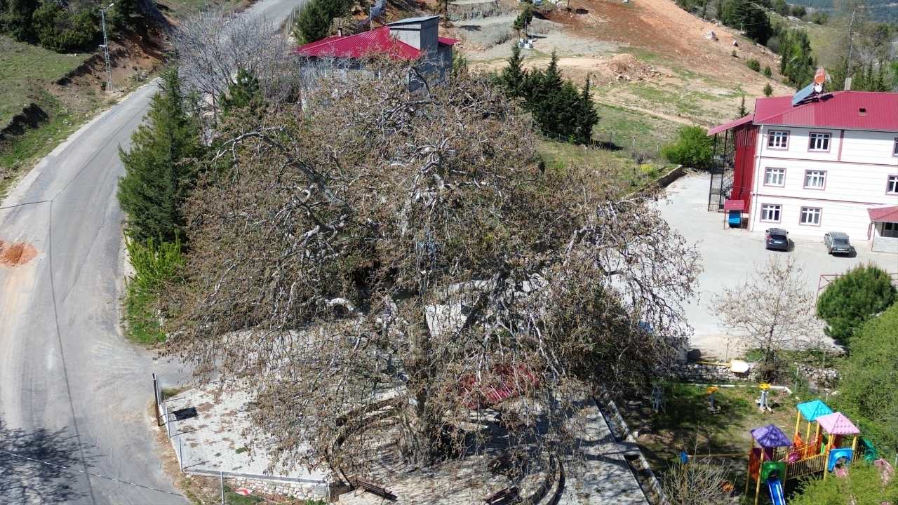Adsız Tasarım (1)-81