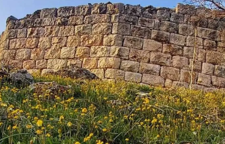 Ekran Görüntüsü 2025 10 29 114926