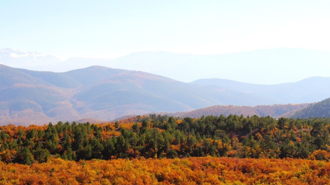 Kahramanmarasta Goksun Sonbahar Renklerine Burundu 1