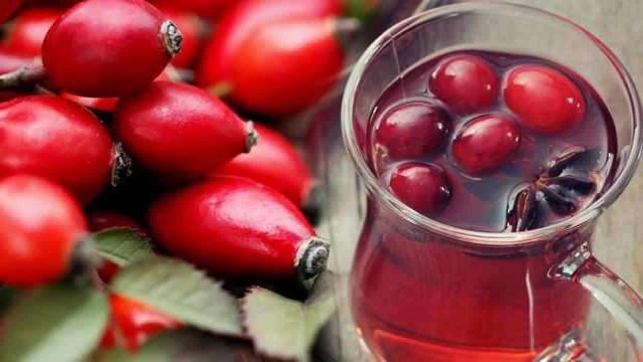 Kusburnu Cayi Faydalari Nelerdir Kusburnu Cayi Nasil Yapilir 1630912813 7944 (1)
