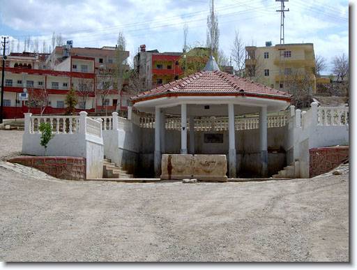 150763,Ekinozu Icmelerijpg-2