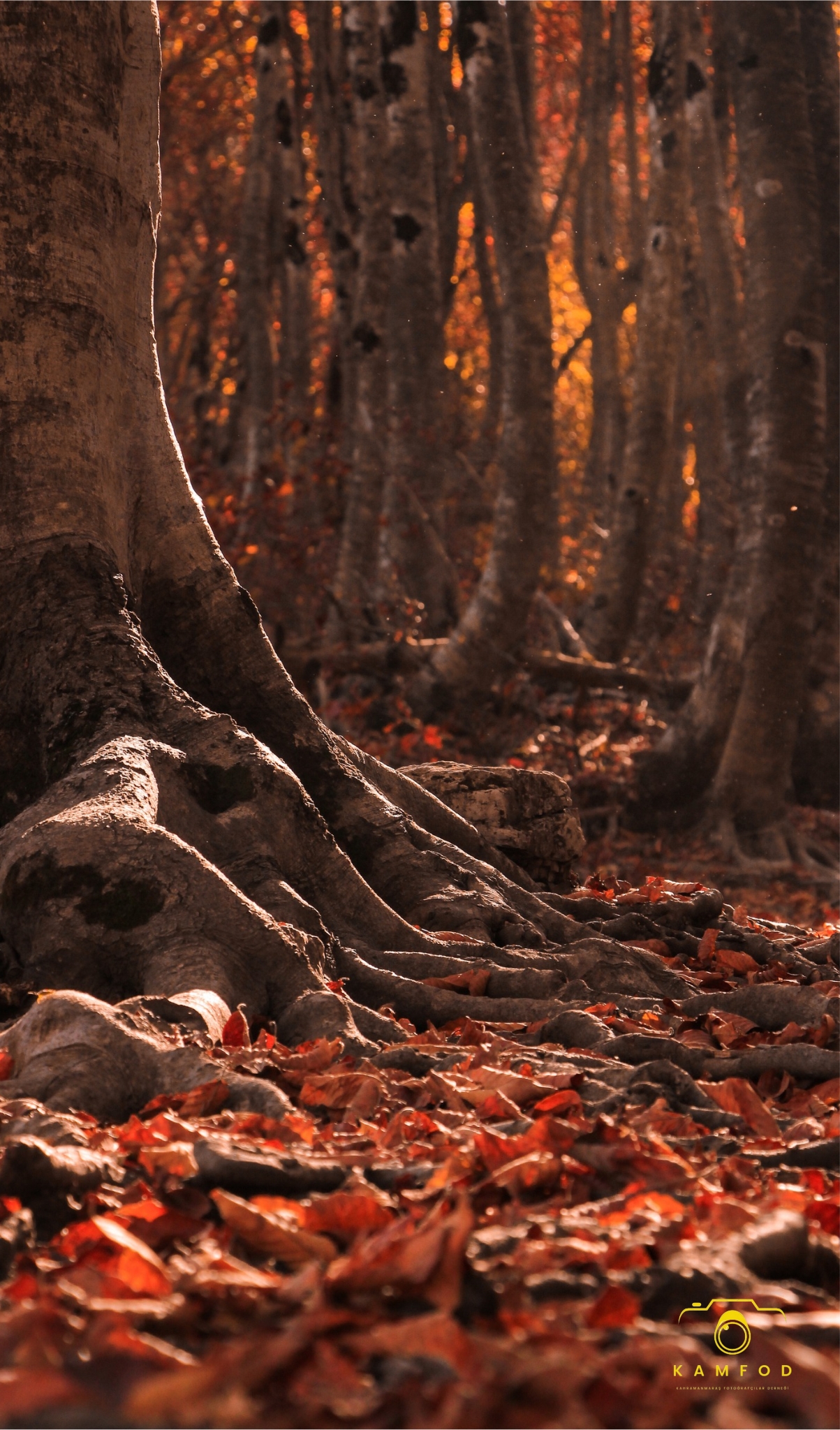 20251102 182611 0000