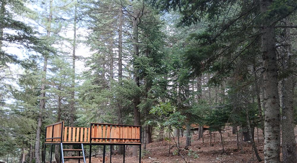 473013,Yavsan Yaylasi 24Jpg-1