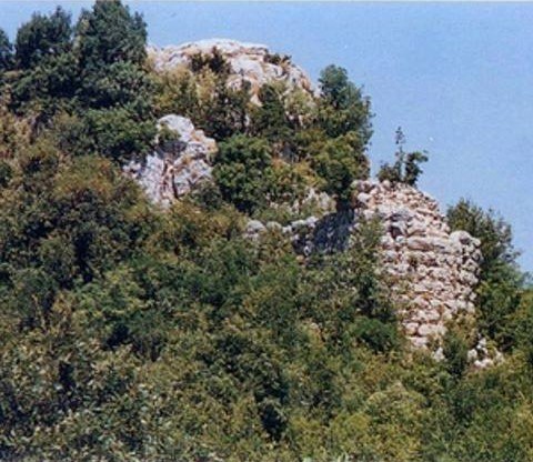 505408529 3181799655301226 8334484741608411081 N