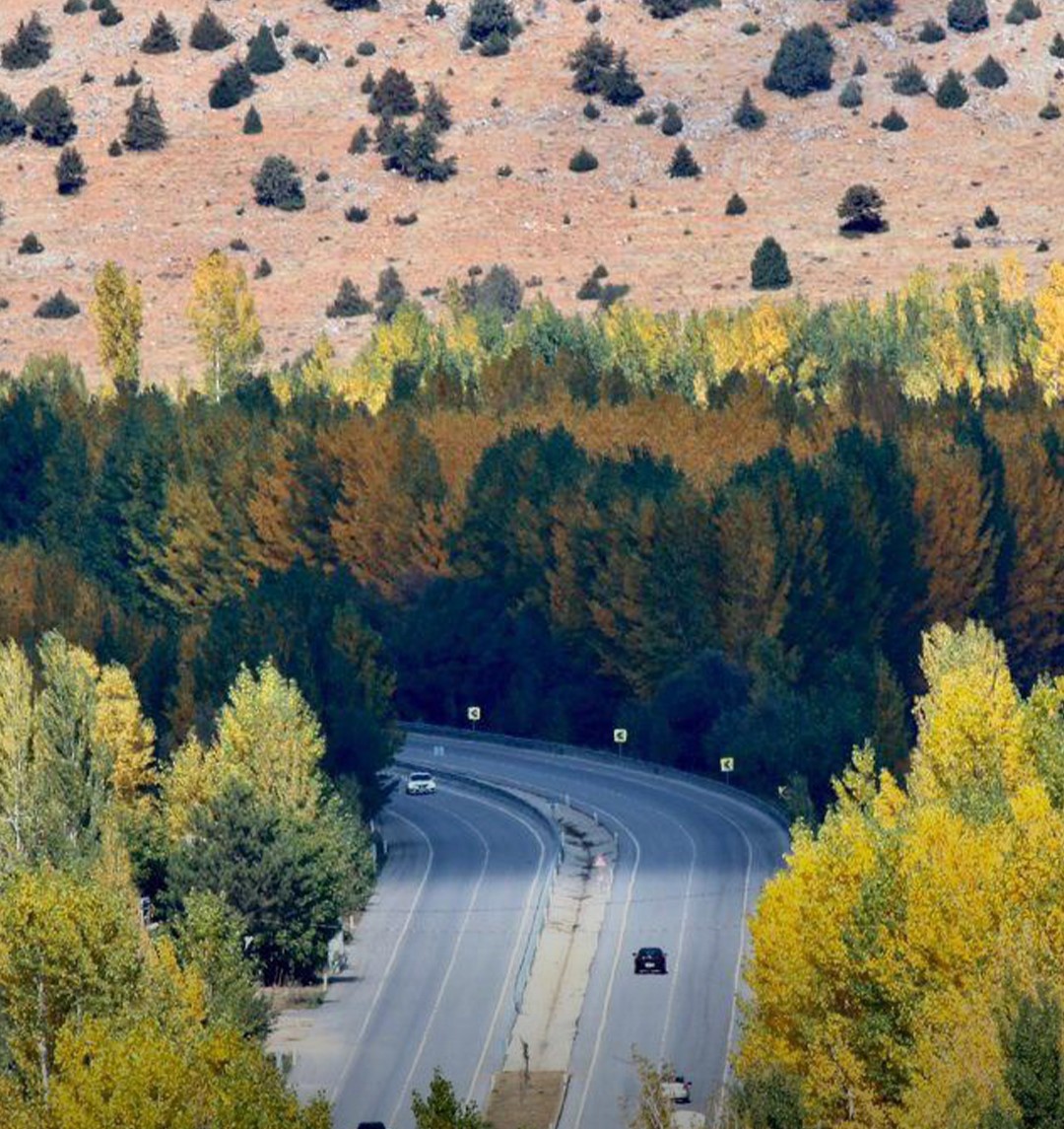 571239042 1612097053513555 2485781402826914881 N