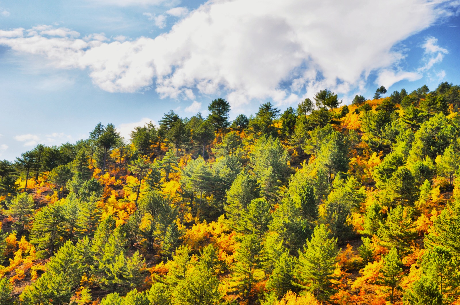 573884335 25244844945158226 7035616753454714725 N