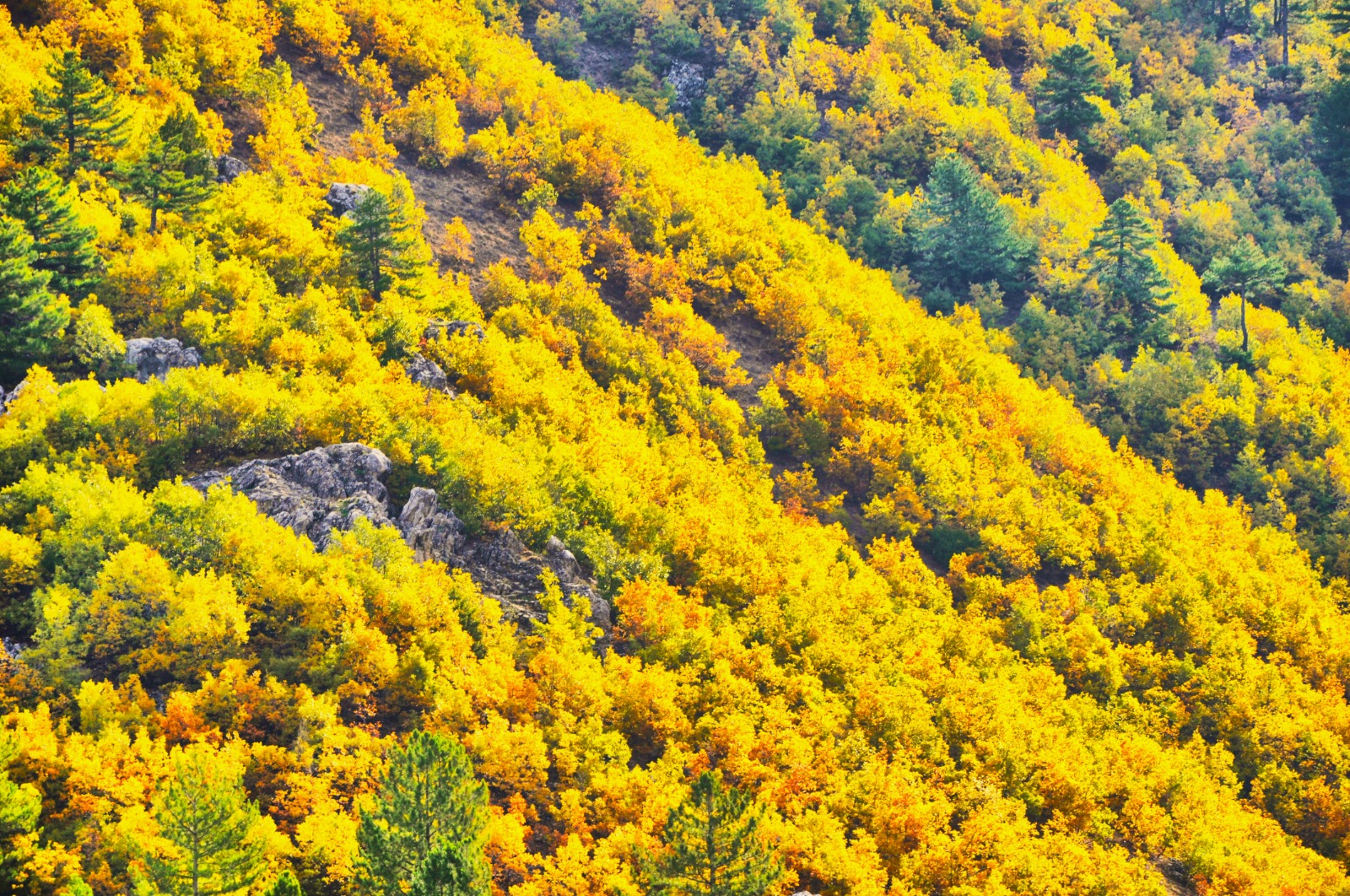 575108764 25244844591824928 5473502804806241654 N