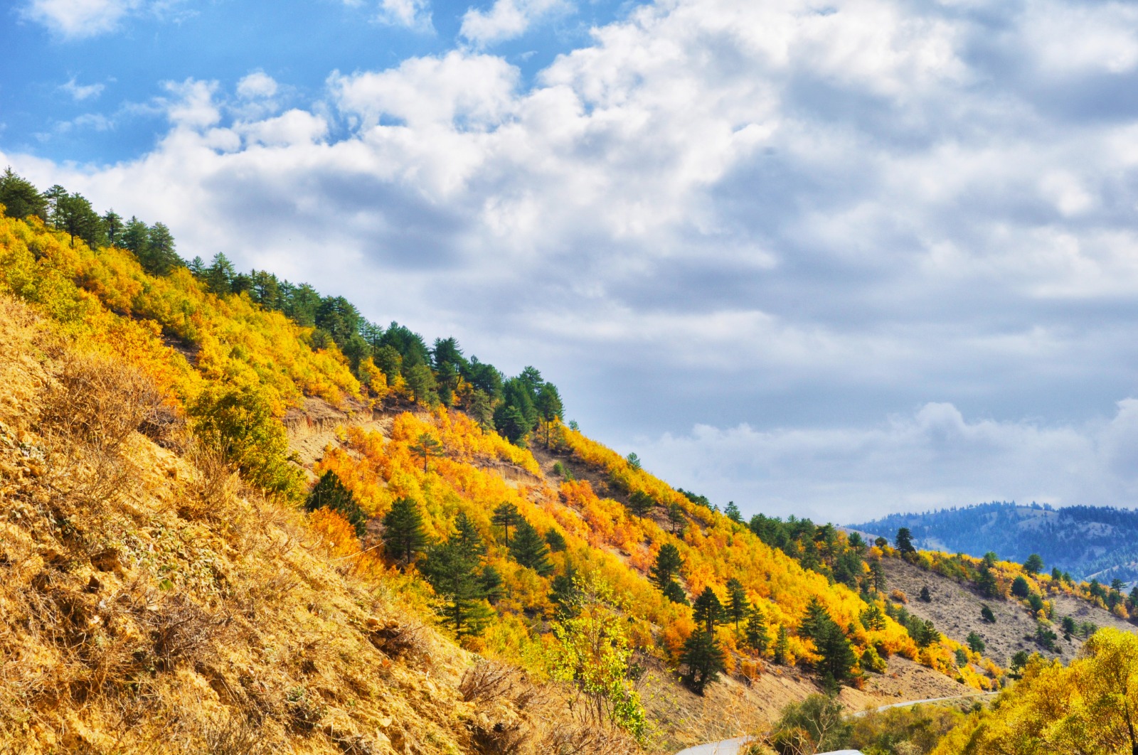 576825351 25244844925158228 4819348253488922152 N