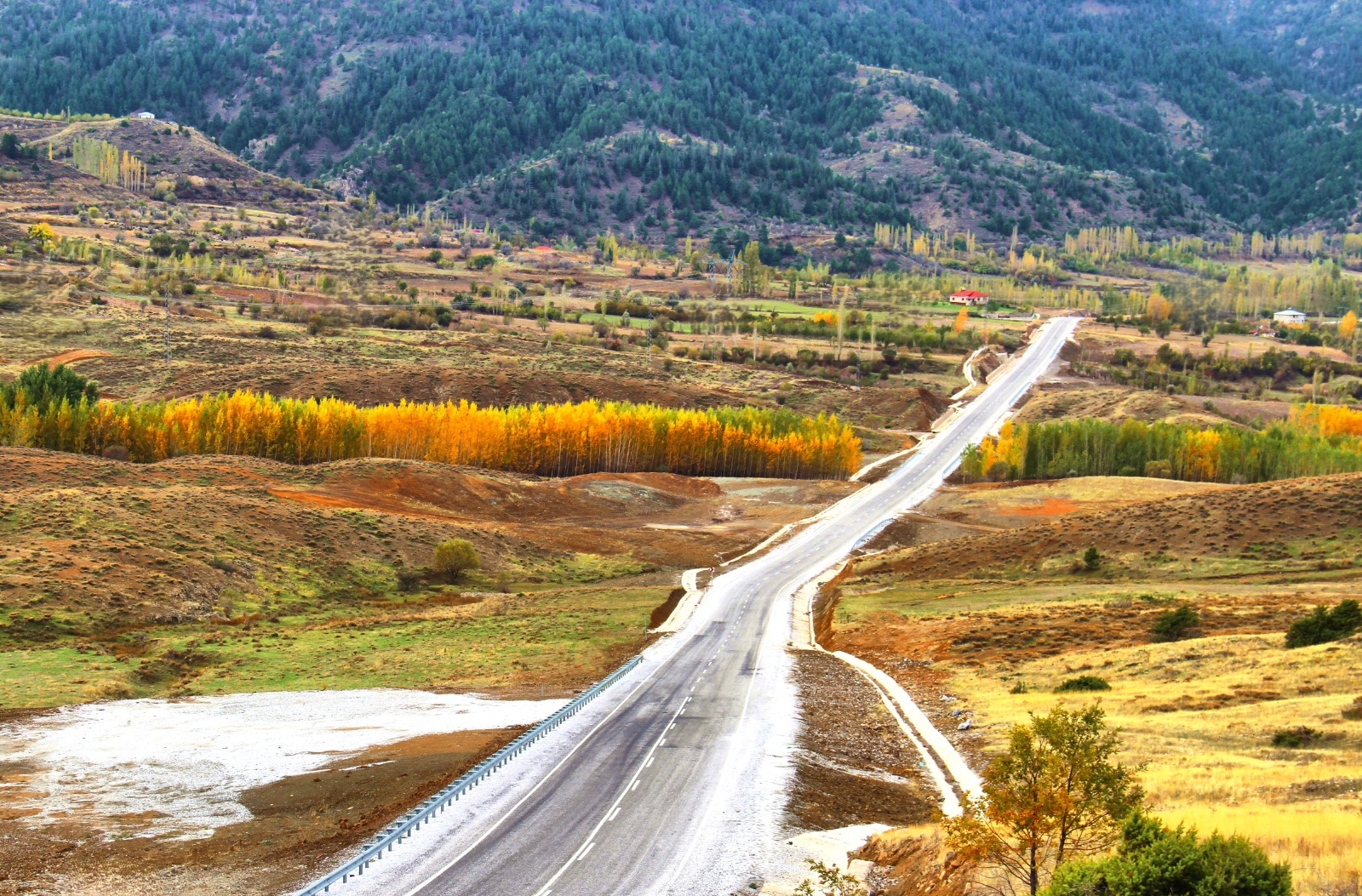 576929078 25244845175158203 4847801099188916316 N