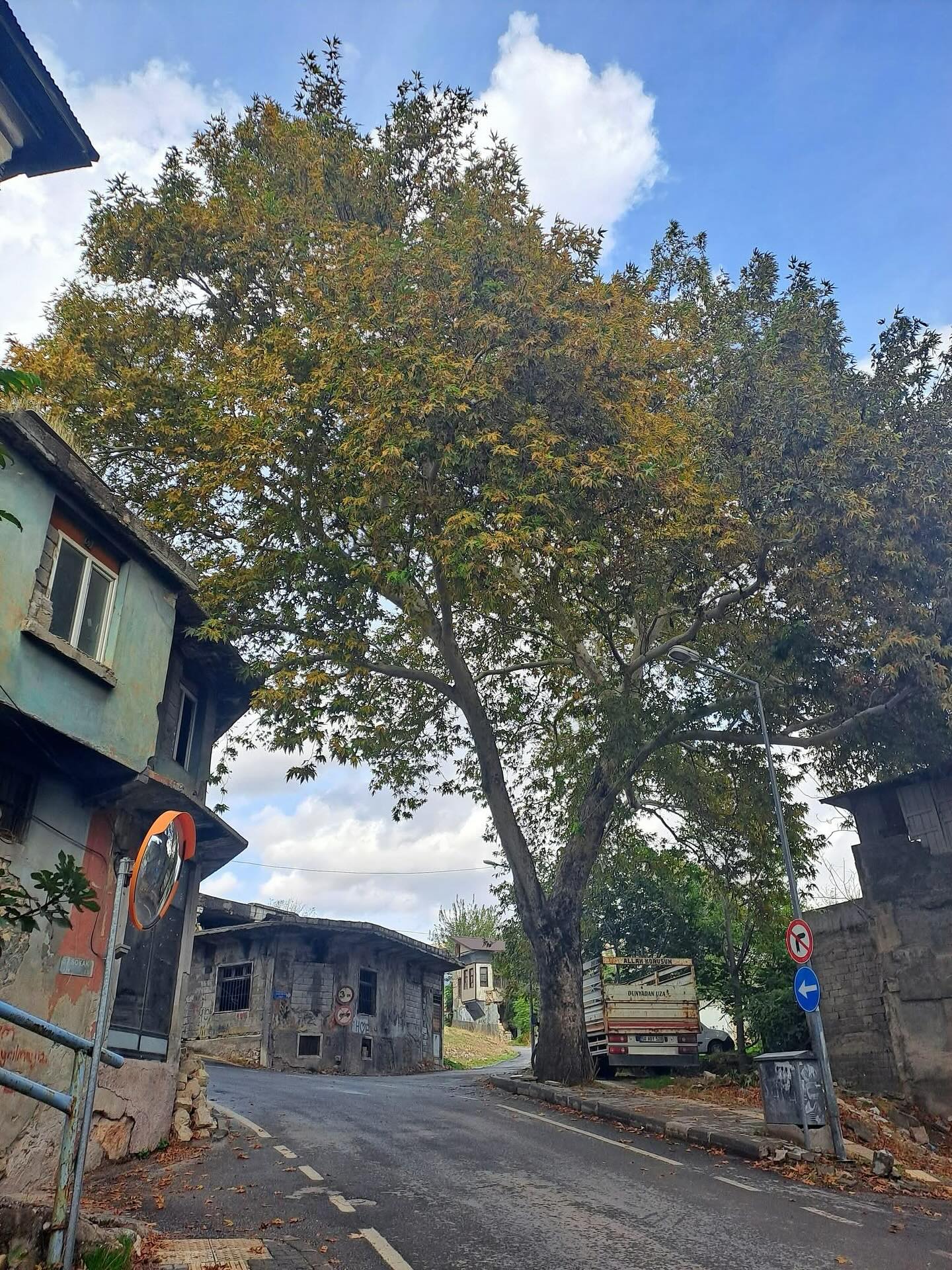 581499954 18544256716004318 3454031929034121034 N