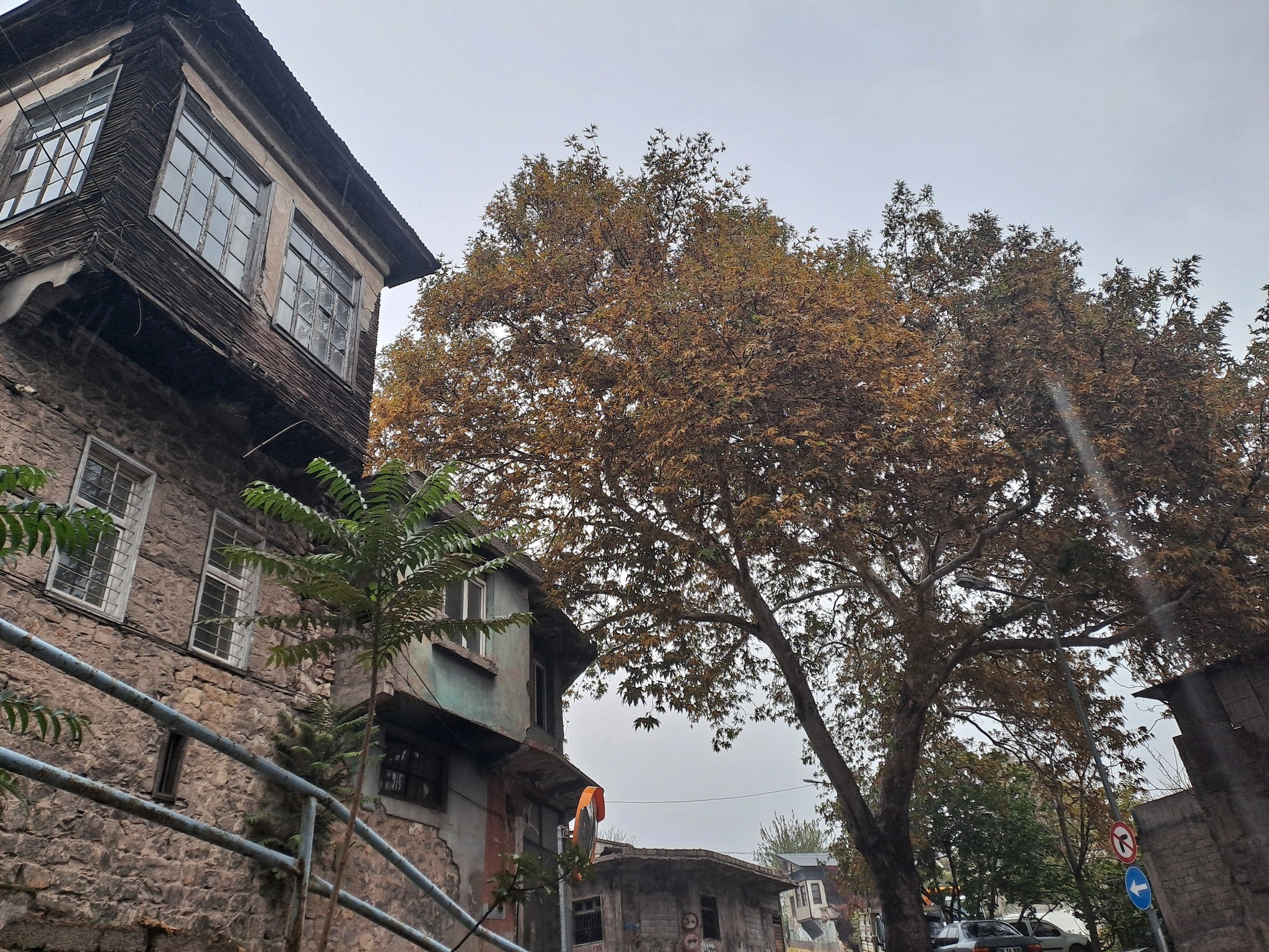 584425640 10163317146404699 4028629388752672375 N