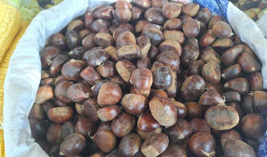 Adsız Tasarım (1)-87