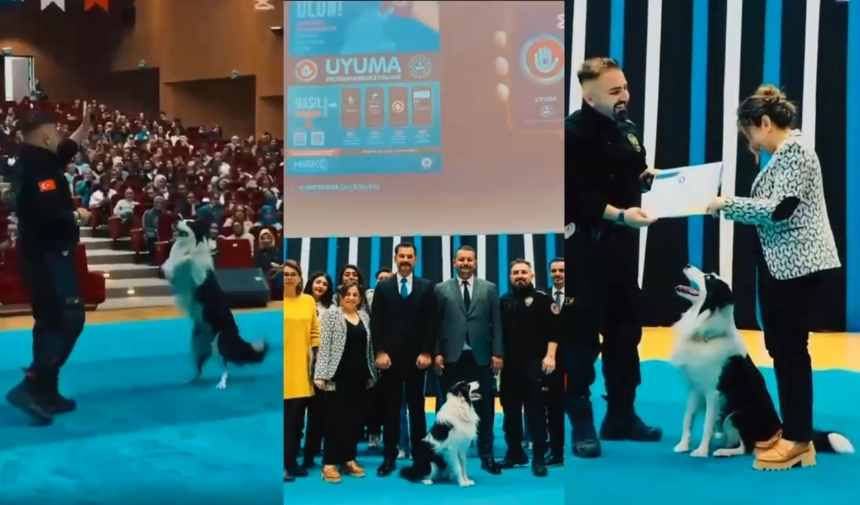 Adsız Tasarım 2025 11 19T123951.767