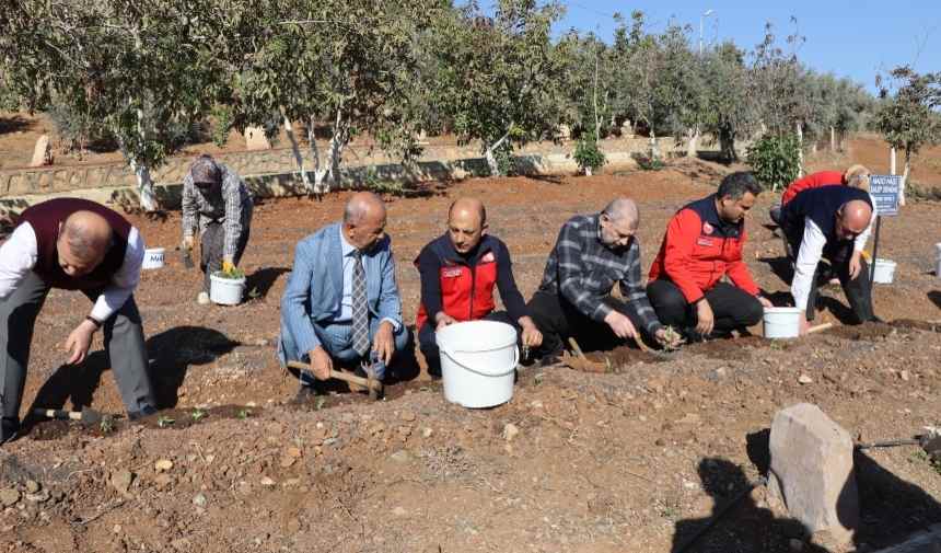 Adsız Tasarım 2025 11 19T164725.254