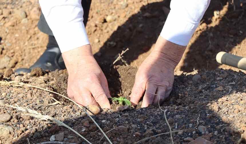 Adsız Tasarım 2025 11 19T164741.404