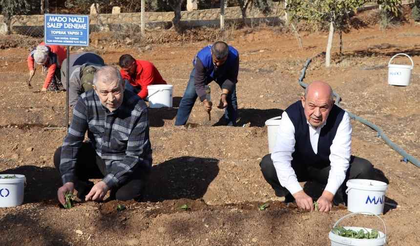 Adsız Tasarım 2025 11 19T164801.718