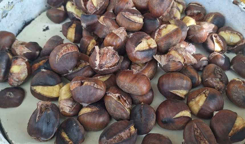 Adsız Tasarım (3)-59