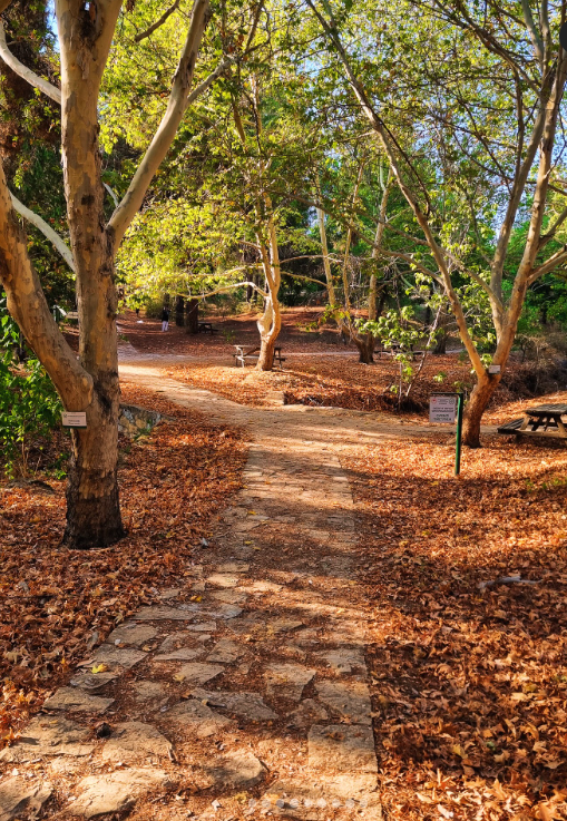 Ekran Görüntüsü 2025 11 10 112439