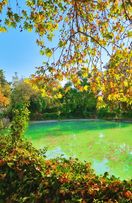 Ekran Görüntüsü 2025 11 10 112508