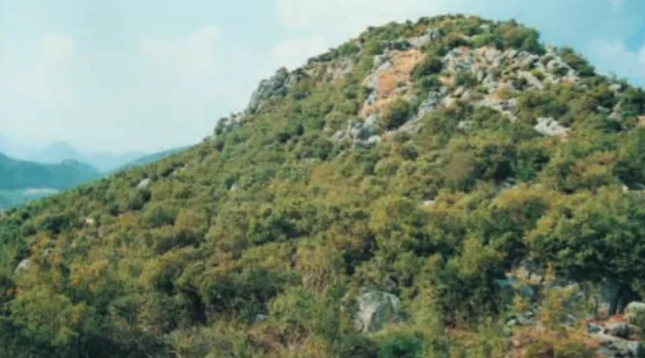 Ekran Görüntüsü 2025 11 24 171055