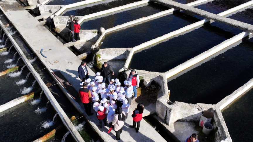 G6 Q6U Lu X U A A1O R A