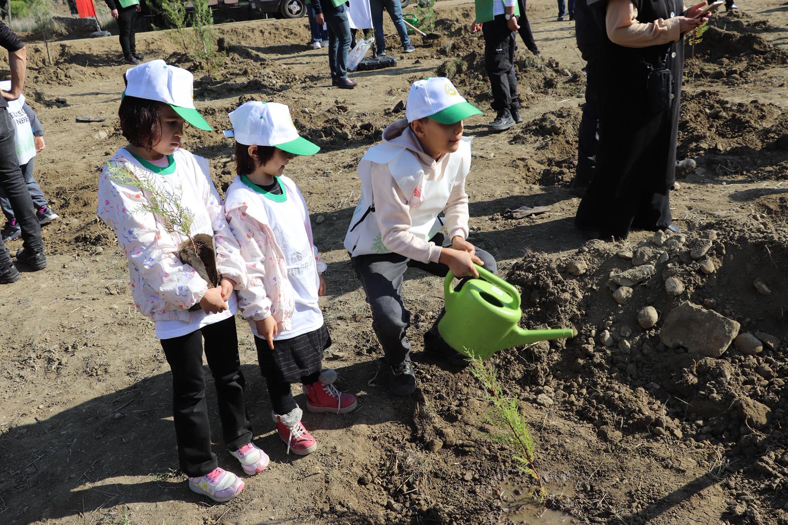 G6 Xm Mbh W A A E8 Mwn