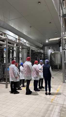 G6W Zp Vi Wc A Ah V I6