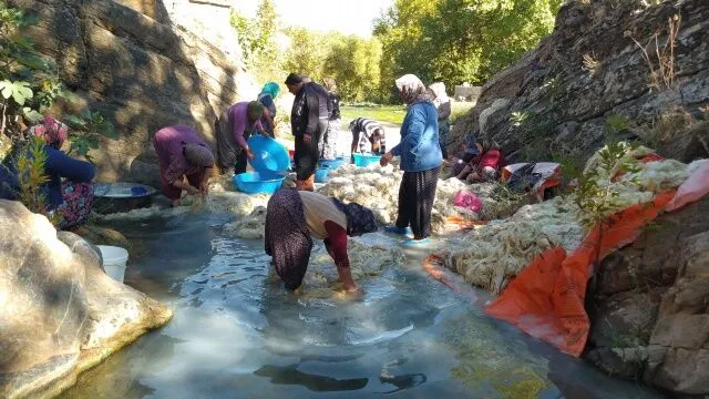 I M G 20221029 104324-2