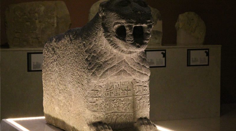 Maras Aslani On Ve Sag Tarafi 800X445