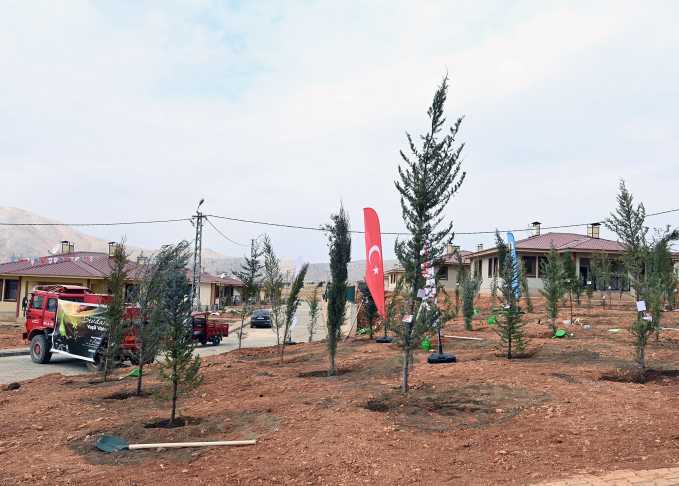 Milli Ağaçlandırma Günü (8)