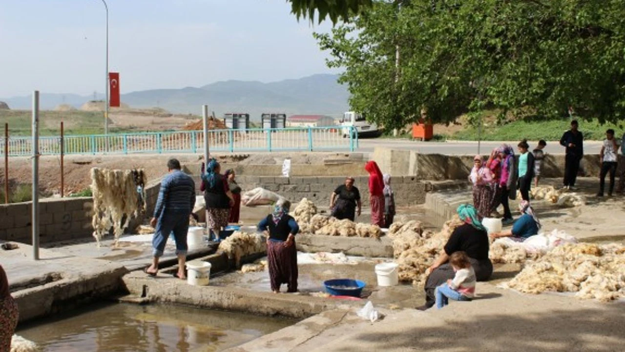 O Kultur Tarih Oldu C55Af 1-1